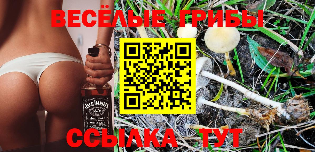 Галлюциногенные грибы ЛСД Реж