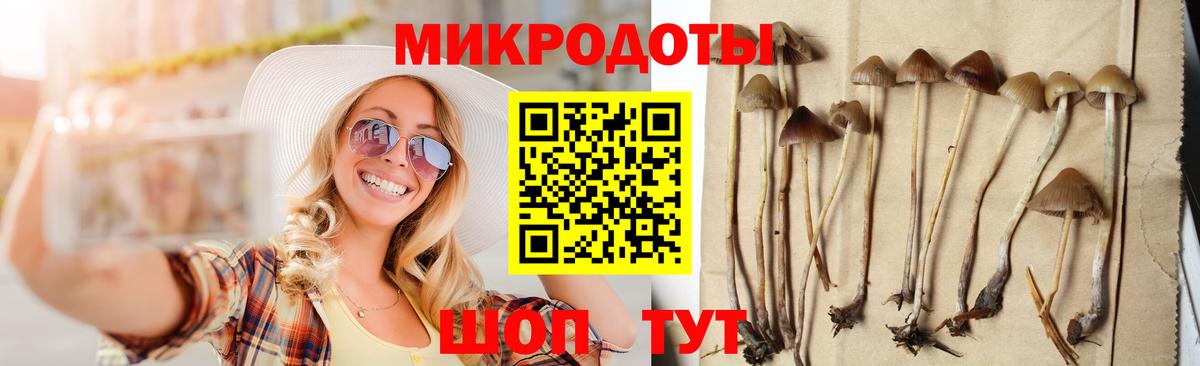 Галлюциногенные грибы Magic Shrooms  Псилоцибиновые грибы Magic Shrooms  Вход с VPN  Реж 